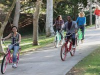 The Electric Bicycle Controversy