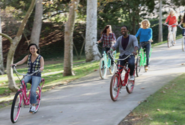 The Electric Bicycle Controversy