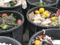 Are the Trash Police Coming to your House?